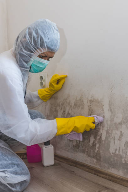 Best Airborne Mold Testing  in Pinetop Country Clu, AZ