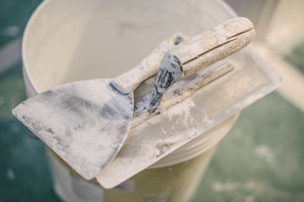 Best Asbestos and Lead Testing During Mold Inspection  in Pinetop Country Clu, AZ